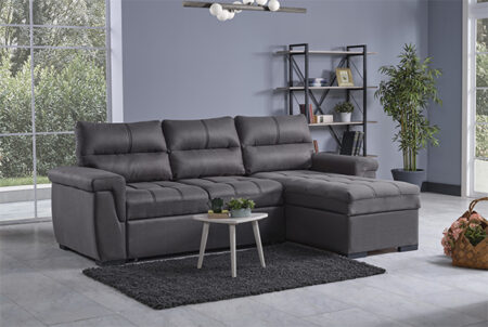 Cansas Sectional